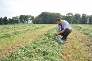 clover trial samples