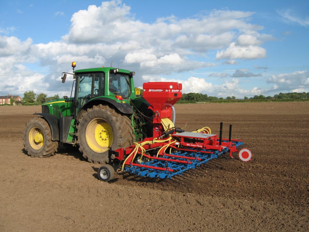 Grass reseed puts money in the bank The Grassright Group